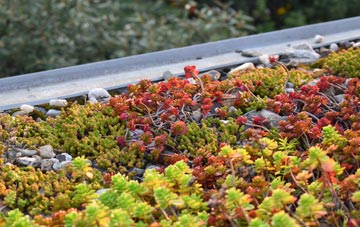 the cost of Kirkby Stephen green roof installation